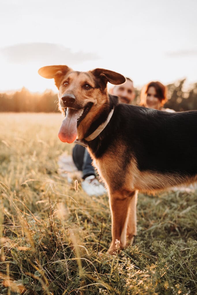 Hundeportät während eines Familienfotoshootings in Nagold